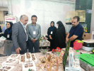 بازدید معاون وزیر جهاد کشاورزی از غرفه مرکز علمی کاربردی کشاورزی بهارآوران