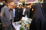 تضمین اشتغال دانشجویان در قم گامی موثر در تحقق پیوند دانشگاه و صنعت است/ حمایت استاندار قم از اقدامات دانشگاه علمی کاربردی در عرصه کارآفرینی