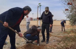 کاشت چند اصله نهال به مناسبت روز درختکاری در دانشگاه جامع علمی کاربردی استان قم